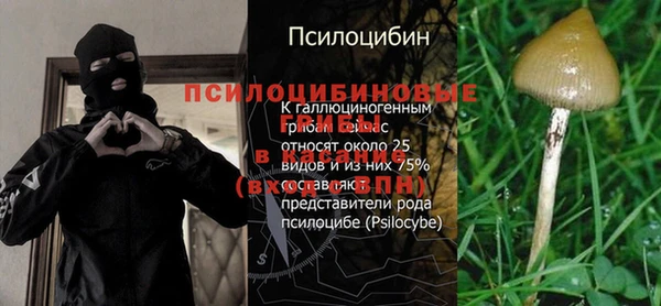 PSILOCYBIN Абаза
