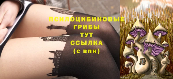 эйфоретик Алзамай